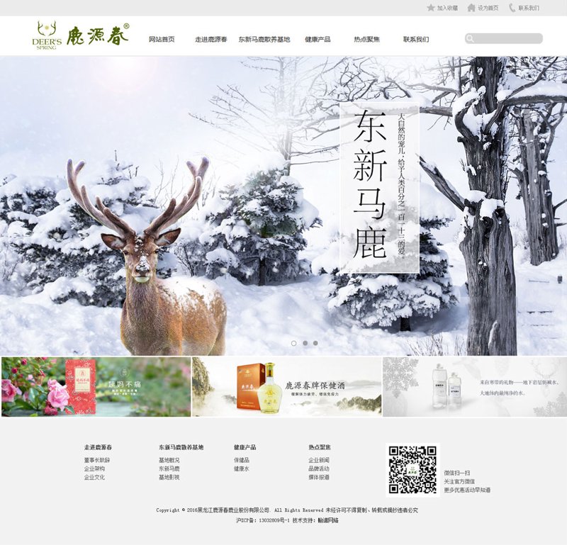哈尔滨网站建设助力企业数字化转型